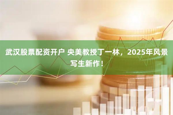 武汉股票配资开户 央美教授丁一林，2025年风景写生新作！