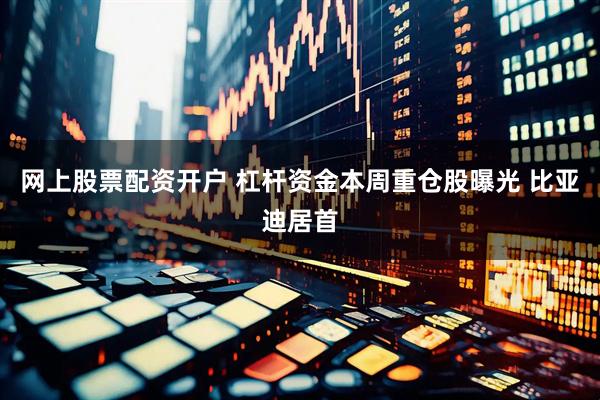 网上股票配资开户 杠杆资金本周重仓股曝光 比亚迪居首